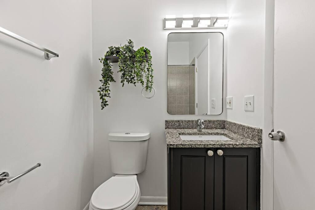 Apartment The Penthouse, Lux Near Downtown, Uofc & Chicago